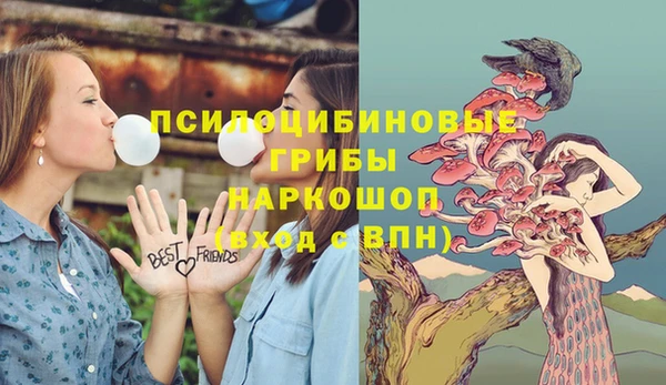 spice Алексин