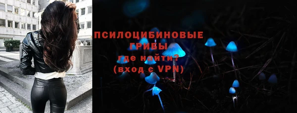spice Алексин