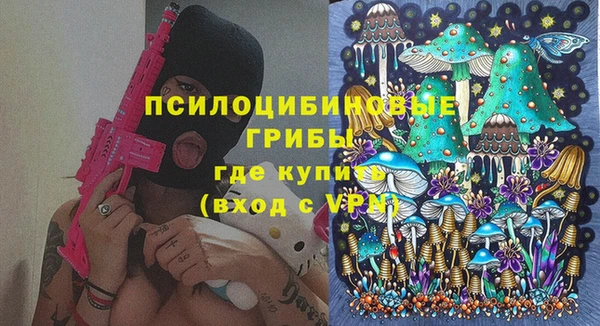 эйфоретик Алзамай