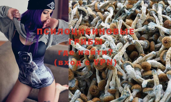 эйфоретик Алзамай