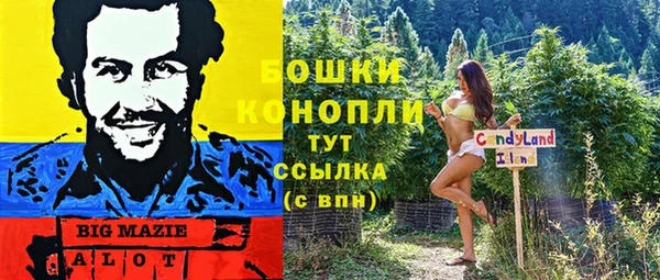 spice Алексин