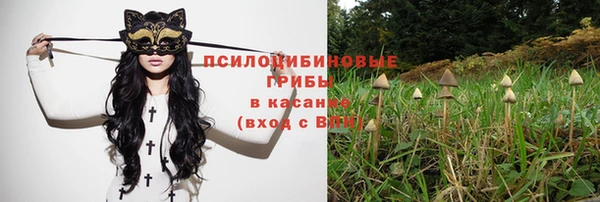 spice Алексин