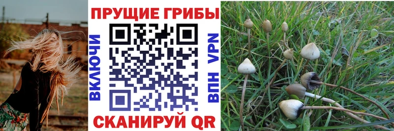 Галлюциногенные грибы GOLDEN TEACHER  Солнечногорск 